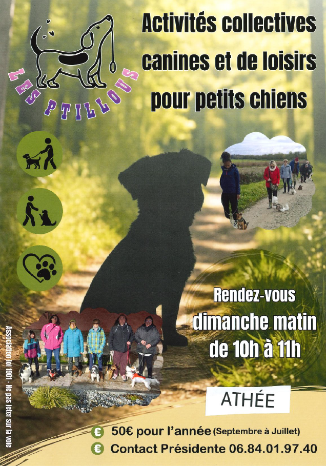 affiche